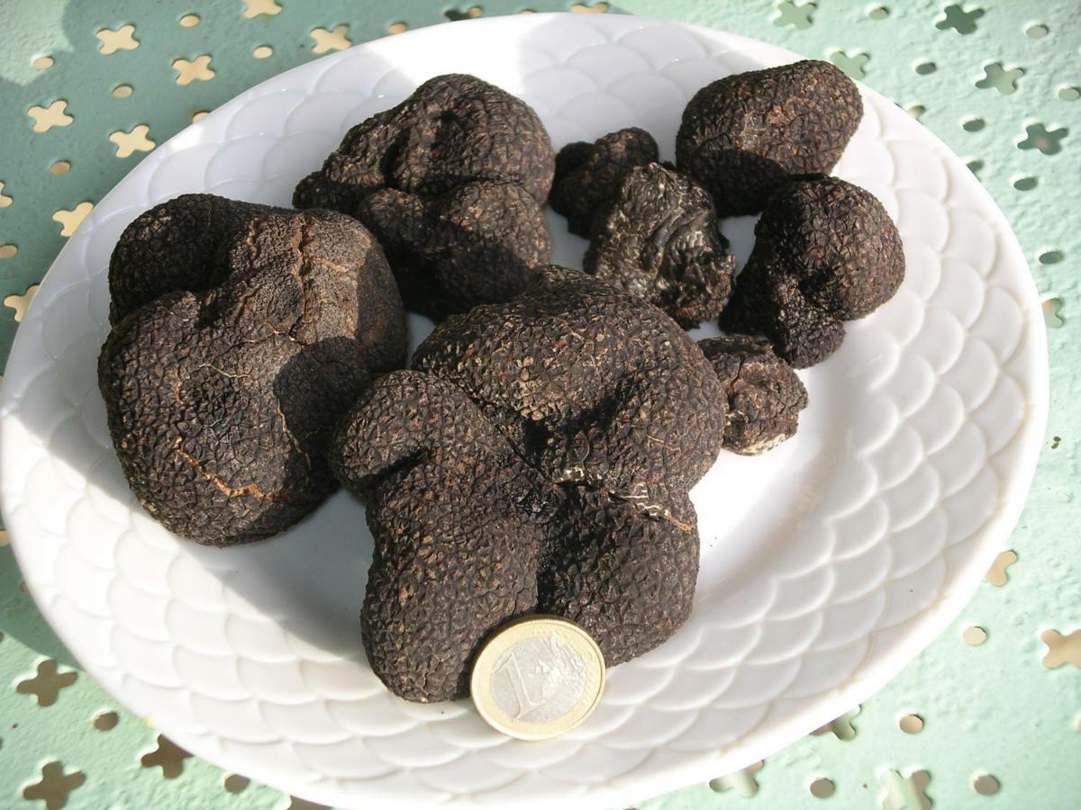 Alojamento de Acomodação e Pequeno-almoço Les Feuillantines Perigord Noir *