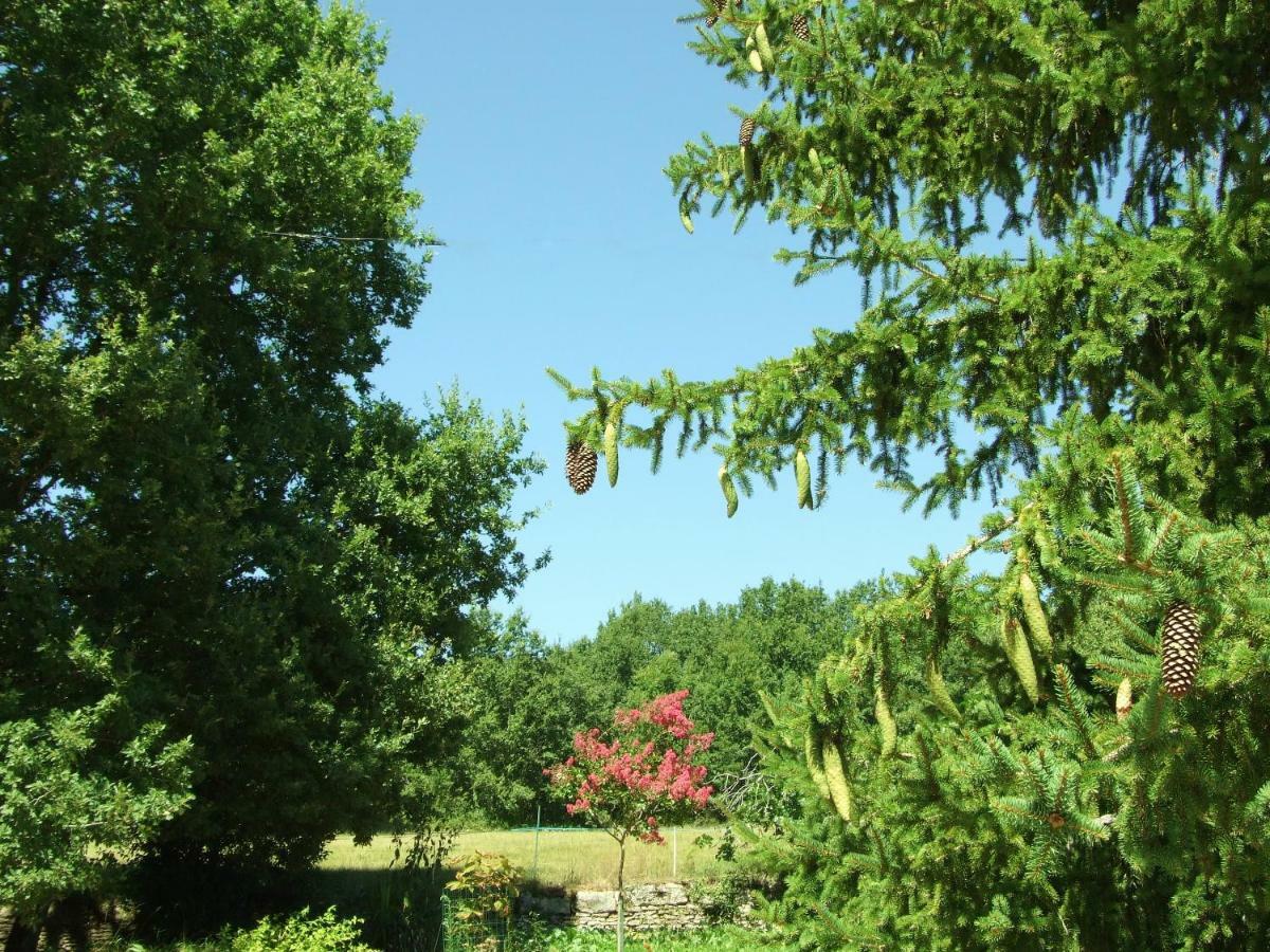Bed & Breakfast Les Feuillantines Perigord Noir Saint-Cyprien (Dordogne)